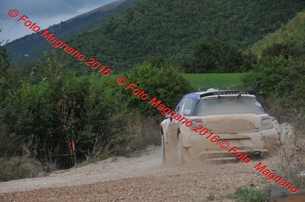 DSC_6439.JPG